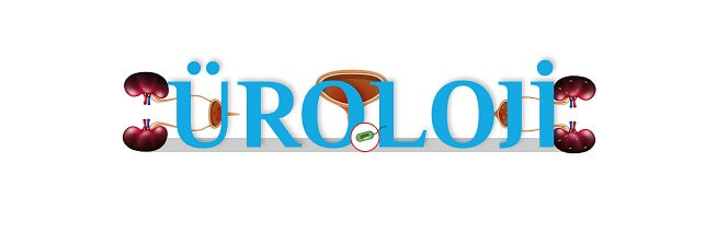  androloji doktorları , androloji doktoru
